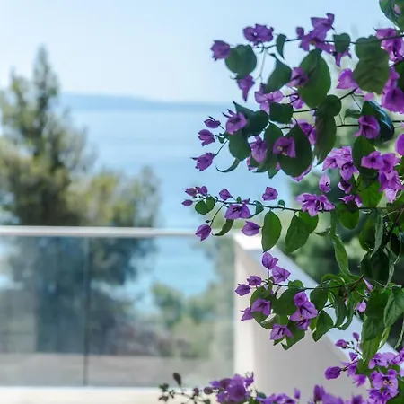 House Vesna Trogir