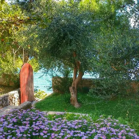 Villa House Vesna